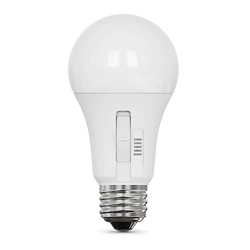 LED 5 Color Choice (6 Count)