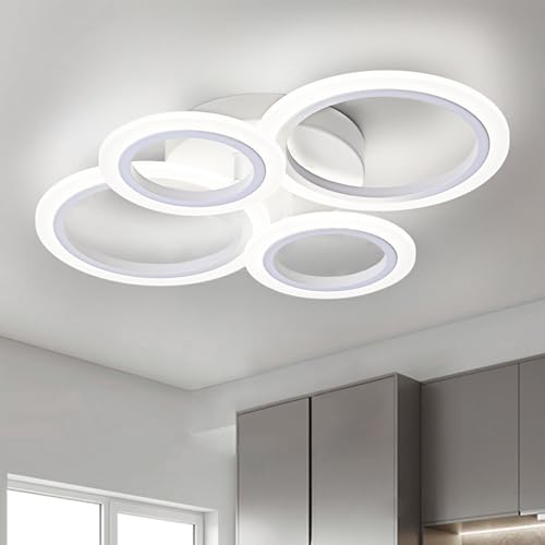 Modern LED Ceiling Light