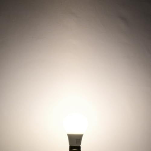 Vintage A19 LED Light Bulbs 100 Watt Equivalent