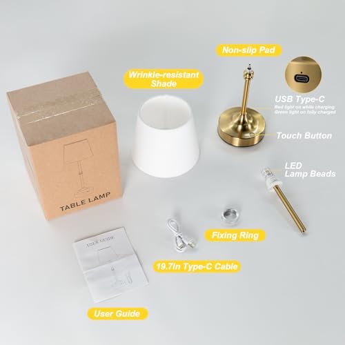 Cordless Table Lamp