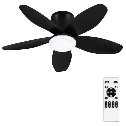 Small Ceiling Fan with Lights (32 Inch)