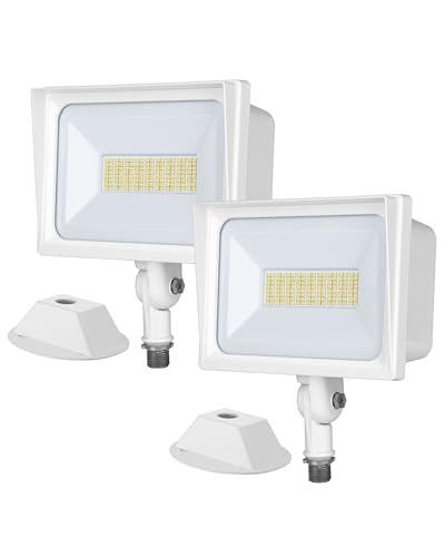 2 Pack 65W LED Outdoor Flood Light (2 Count)