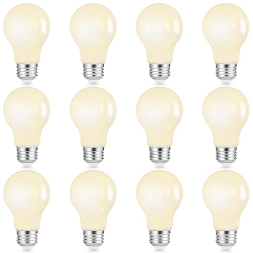 12 Pack A19 LED Light Bulbs Dimmable (12 Count)