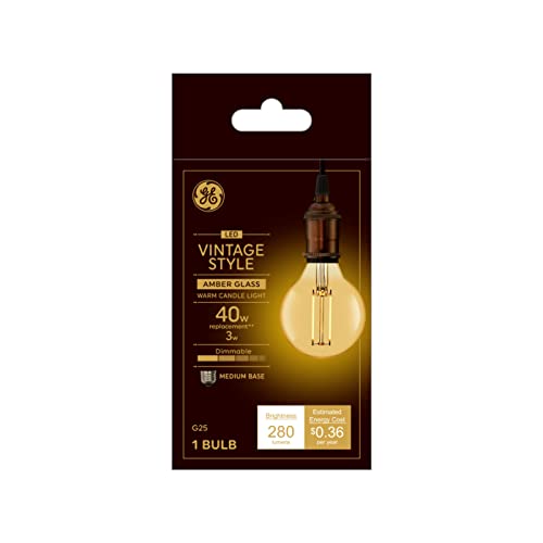 Vintage Edison LED Light Bulb