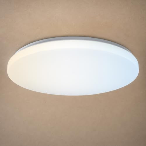20 inch Ceiling Light Flush Mount 48W