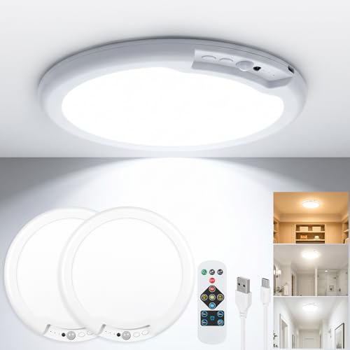 Rechargeable Ceiling Light 2 Pack (2 Count)