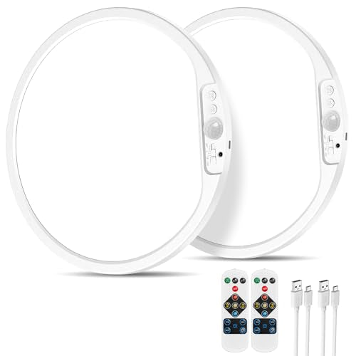 Rechargeable Motion Sensor Ceiling Light (2 Count)