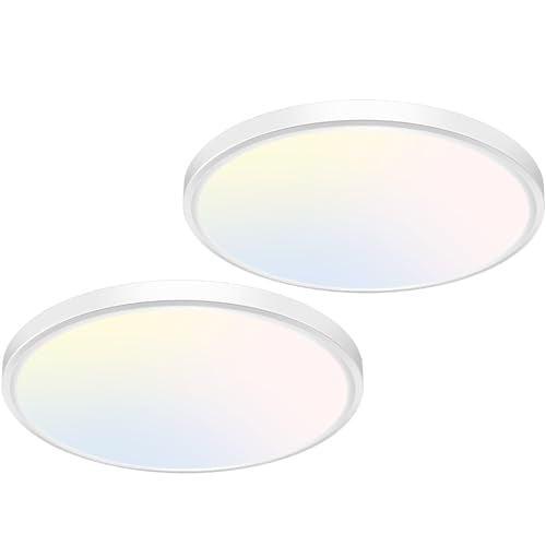 12 inch Flush Mount LED Ceiling Light Fixture (2 Count)