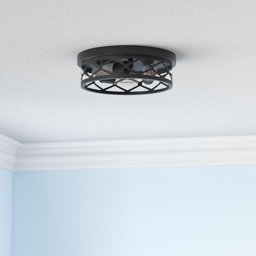 2 Pack Flush Mount Ceiling Light Fixture (2 Count)