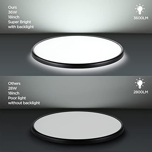 18 Inch Dimmable Ceiling Light Fixture
