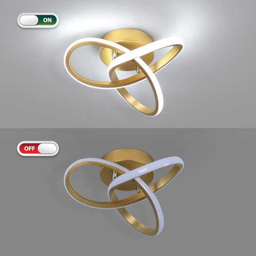 Modern Led Ceiling Light Fixture