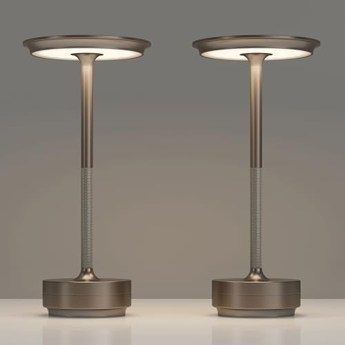 2 Pack Rechargeable Table Lamps Cordless (2 Count)
