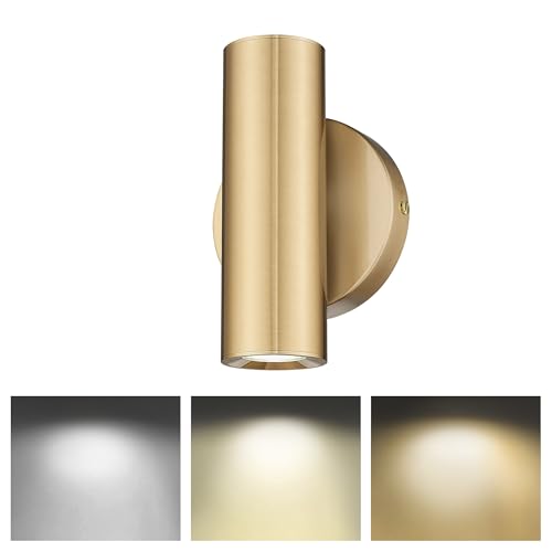 1 Light Wall Sconce