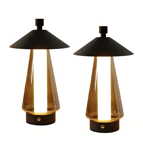 Set of 2 Stepless Dimmable Bedside Lamp 12" H LED Touch Table Lamp Chrome Lamp with Grey Anodized Glass lampshade for Bedroom Living Room Indoors Outdoors（Black (2 Count)