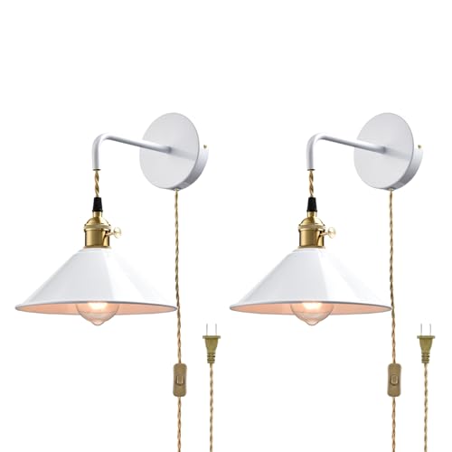 Hanging Height Adjustable Wall Sconce