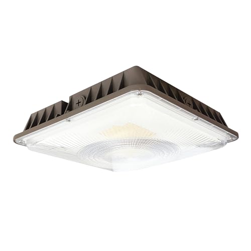 CLCS 24 60W Commercial Outdoor LED Canopy Light