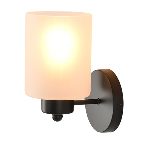 Metal Sconces Wall Lighting with Clear Glass Shade