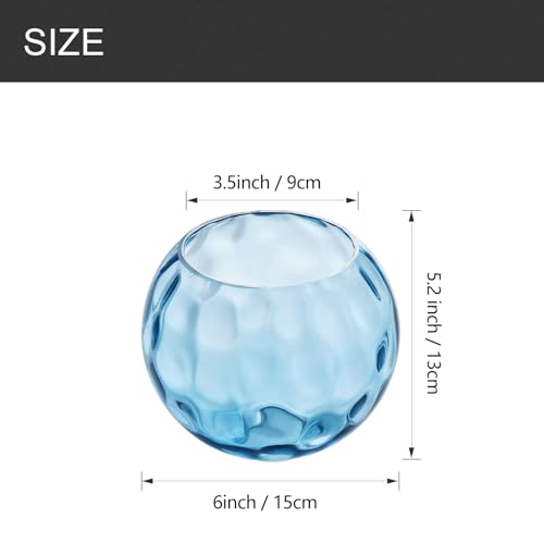 3 Pack Fixture Replacement Globe Shade (3 Count)