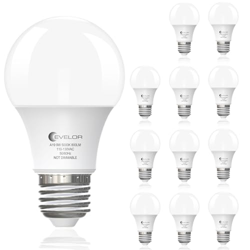 A19 LED Light Bulbs (12 Count)