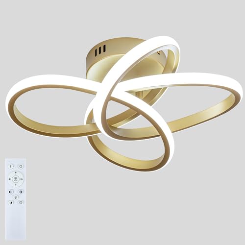 Modern Ceiling Light