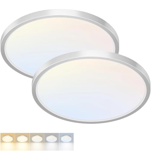 2 Pack LED Flush Mount Ceiling Light (2 Count)