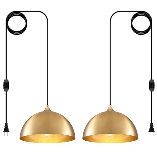 Plug in Hanging Light 2 Packs 11.8inch (2 Count)