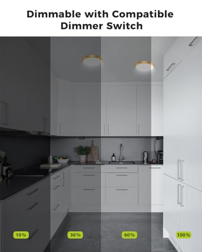 1Pack Dimmable Flush Mount Ceiling Light Fixture Golden