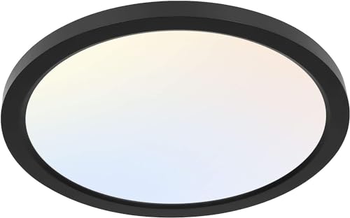 12 Inch LED Round Flat Panel Light