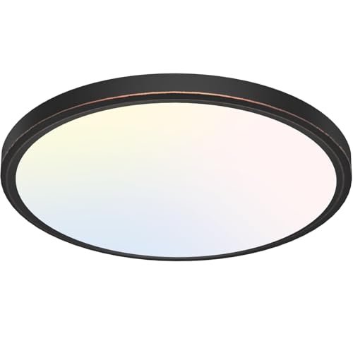 12 inch Flush Mount LED Ceiling Light Fixture