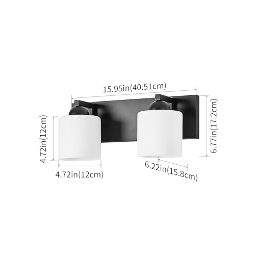 2 Light Black Bathroom Vanity Light with White Glass Shades