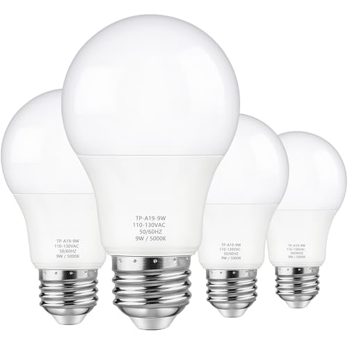 4 Pack A19 LED Light Bulbs (4 Count)