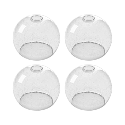 4 Pack Globe Glass Shade (4 Count)