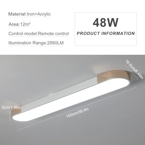 Modern LED Ceiling Light