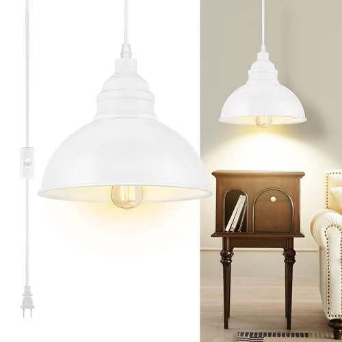 Plug in Pendant Light