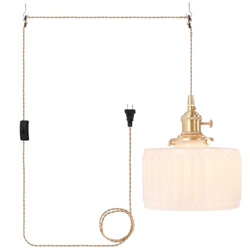 Plug in Pendant Light Hanging Light Fixtures with Plugin Cord On