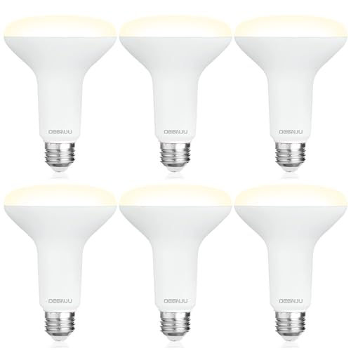 6 Pack BR30 LED Recessed Light Bulb (6 Count)