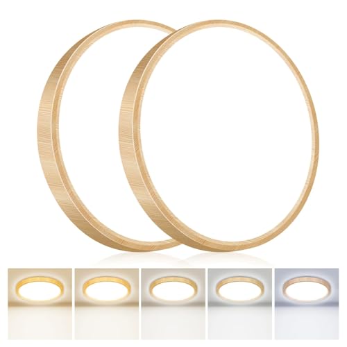 2PACK Flush Mount LED Ceiling Light Fixture