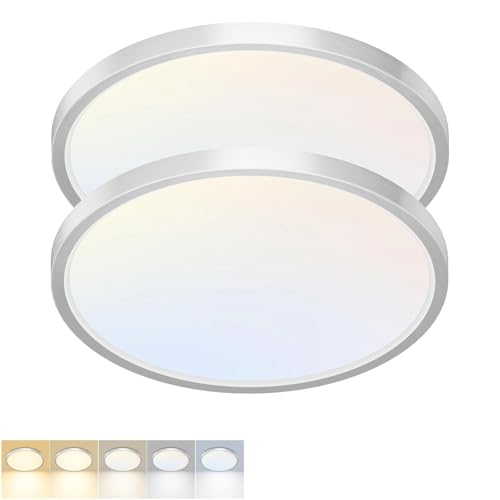 2 Pack LED Flush Mount Ceiling Light