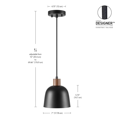 67000193 1 Light Pendant Lighting
