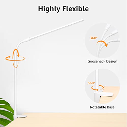 Small Desk Lamp with Clamp