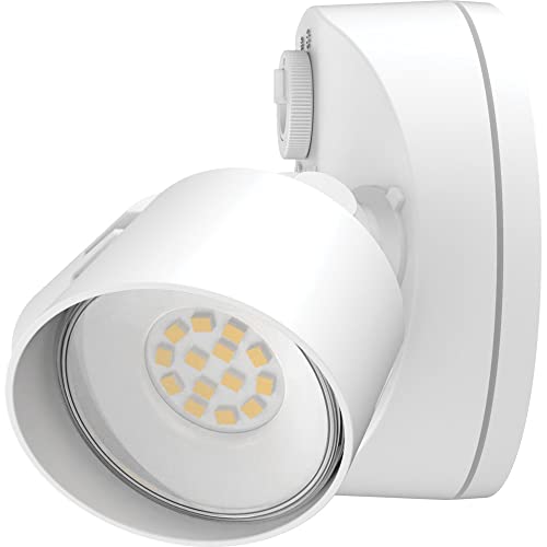 HomeGuard 2 Light LED Outdoor Flood Lights