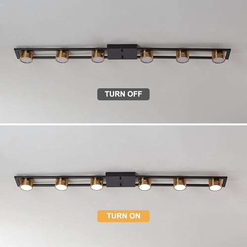 48 Inch Modern Dimmable LED Track Lighting with Remote