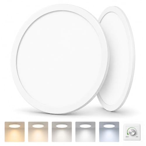 2 Pack 12Inch Flush Mount Light Fixture White (White / 12 inches)
