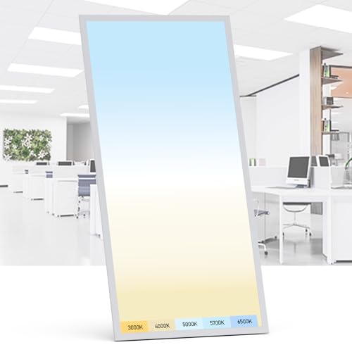 1 Pack 2x4 LED Flat Panel Light