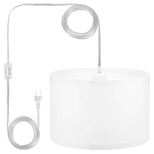Plug in Pendant Light