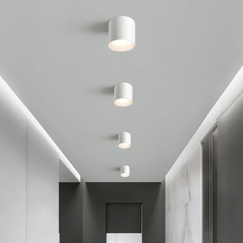 White Flush Mount Ceiling Light Fixtures for Hallway Entryway