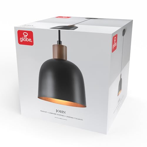 67000193 1 Light Pendant Lighting