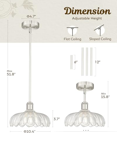 Classic Brushed Nickel Flower Glass Pendant Light