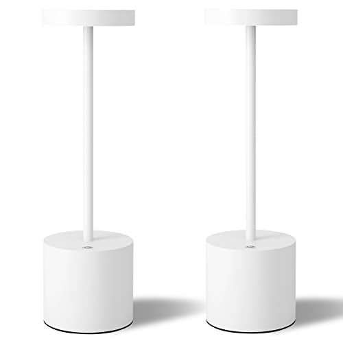 LED Cordless Table Lamps Set of 2