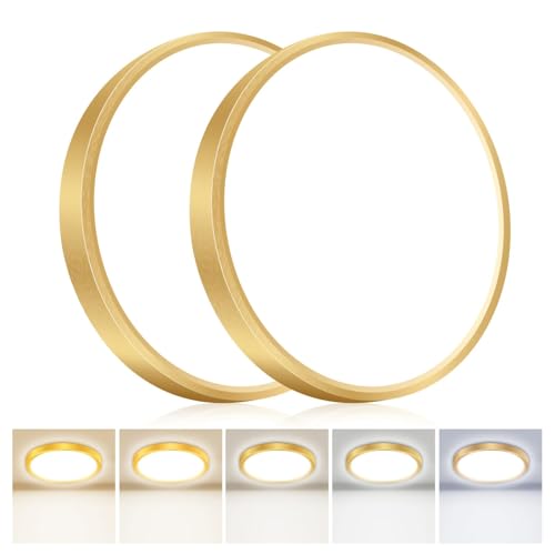 2PACK Flush Mount LED Ceiling Light Fixture